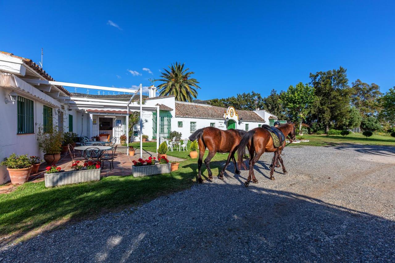 Hotel-Apart Cortijo Las Pinas Tarifa Ngoại thất bức ảnh