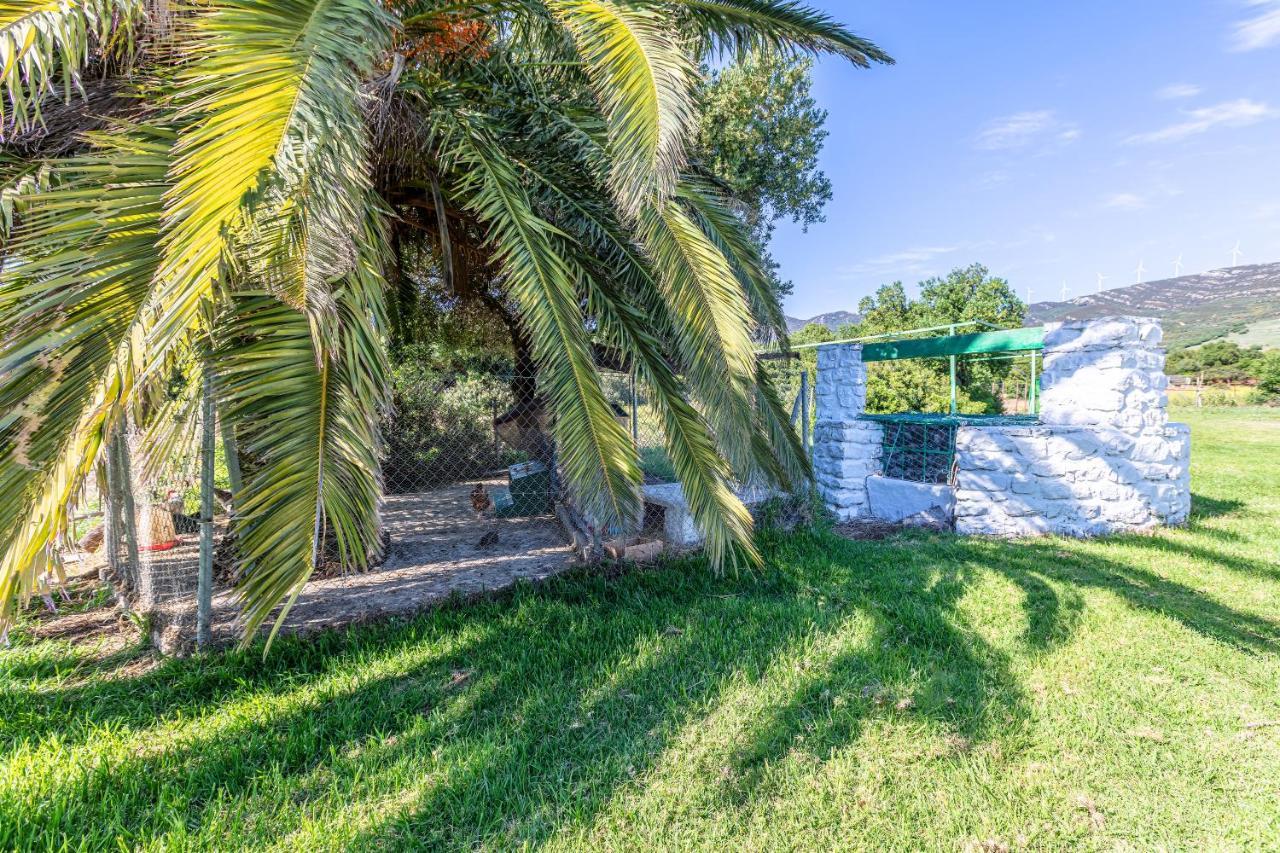 Hotel-Apart Cortijo Las Pinas Tarifa Ngoại thất bức ảnh